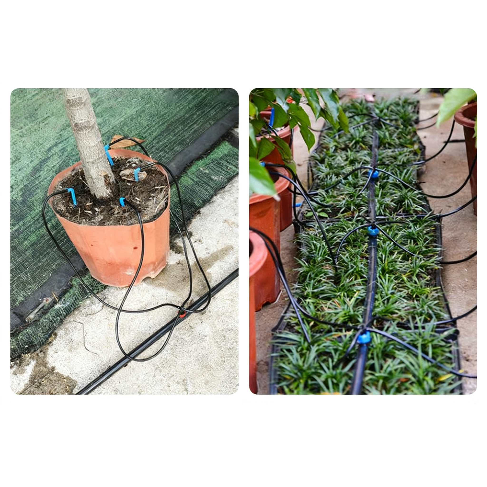 Bonsai Garden Youtube - 10m 3/5mm Micro Drip Irrigation Hose