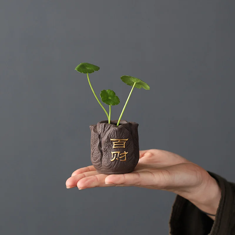 Creative Purple Clay Tea Pet F - Bonsai Garden Mini ulasan dan harga