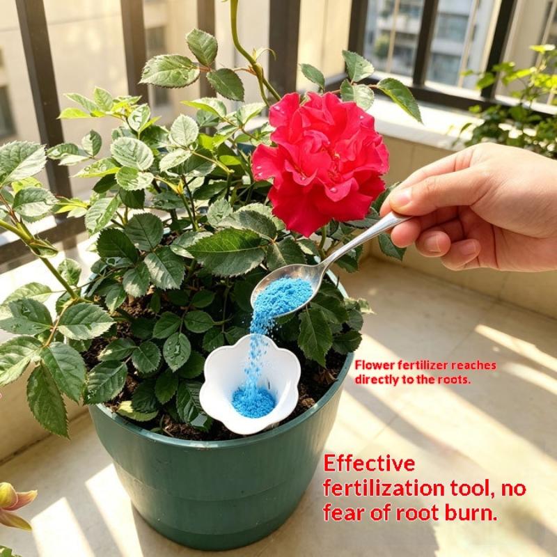 Plant Conical Root Protection  - Bonsai Garden Youtube ulasan dan harga