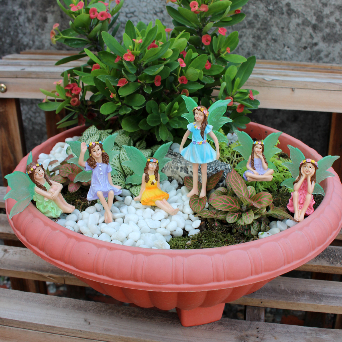 6pc Night Light Wings Flower F - Bonsai Garden World ulasan dan harga