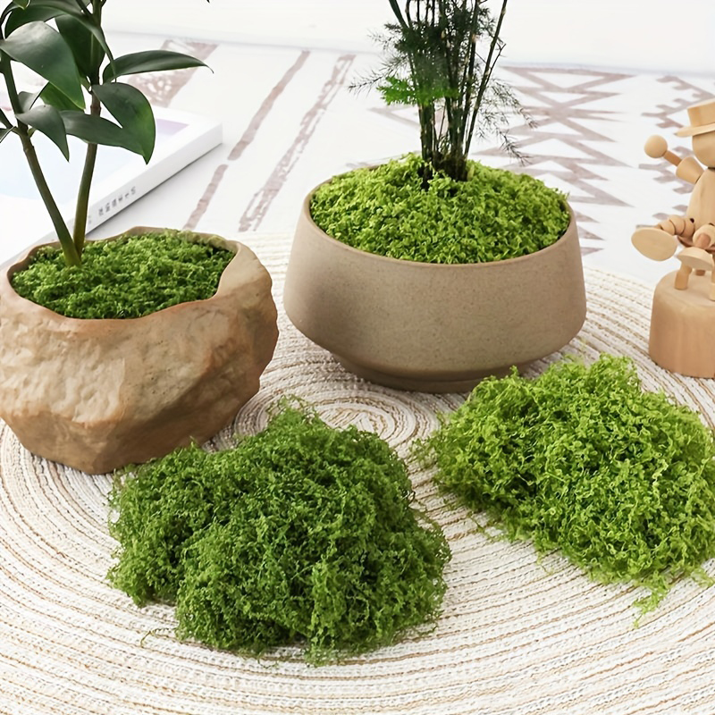 20g/0.7oz Artificial Garden Fa - Bonsai Garden Mini ulasan dan harga