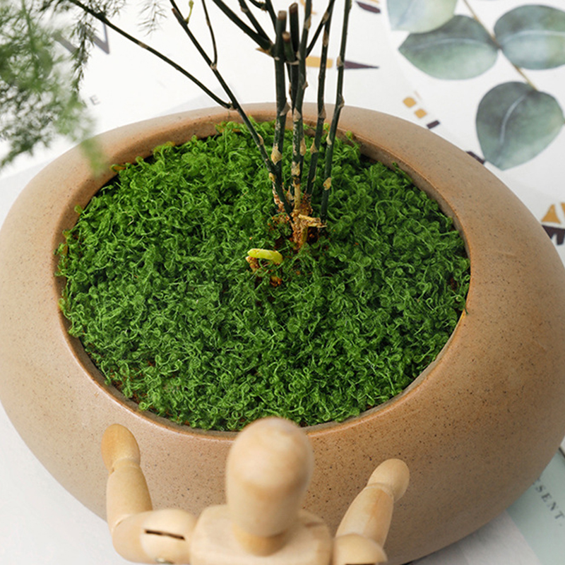 20g/0.7oz Artificial Garden Fa - Bonsai Garden Mini ulasan dan harga