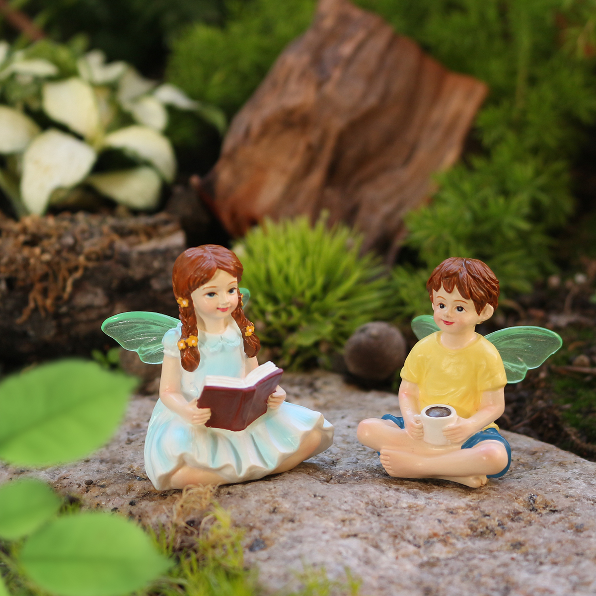 2 Reading and Coffee Drinking  - Bonsai Garden World ulasan dan harga