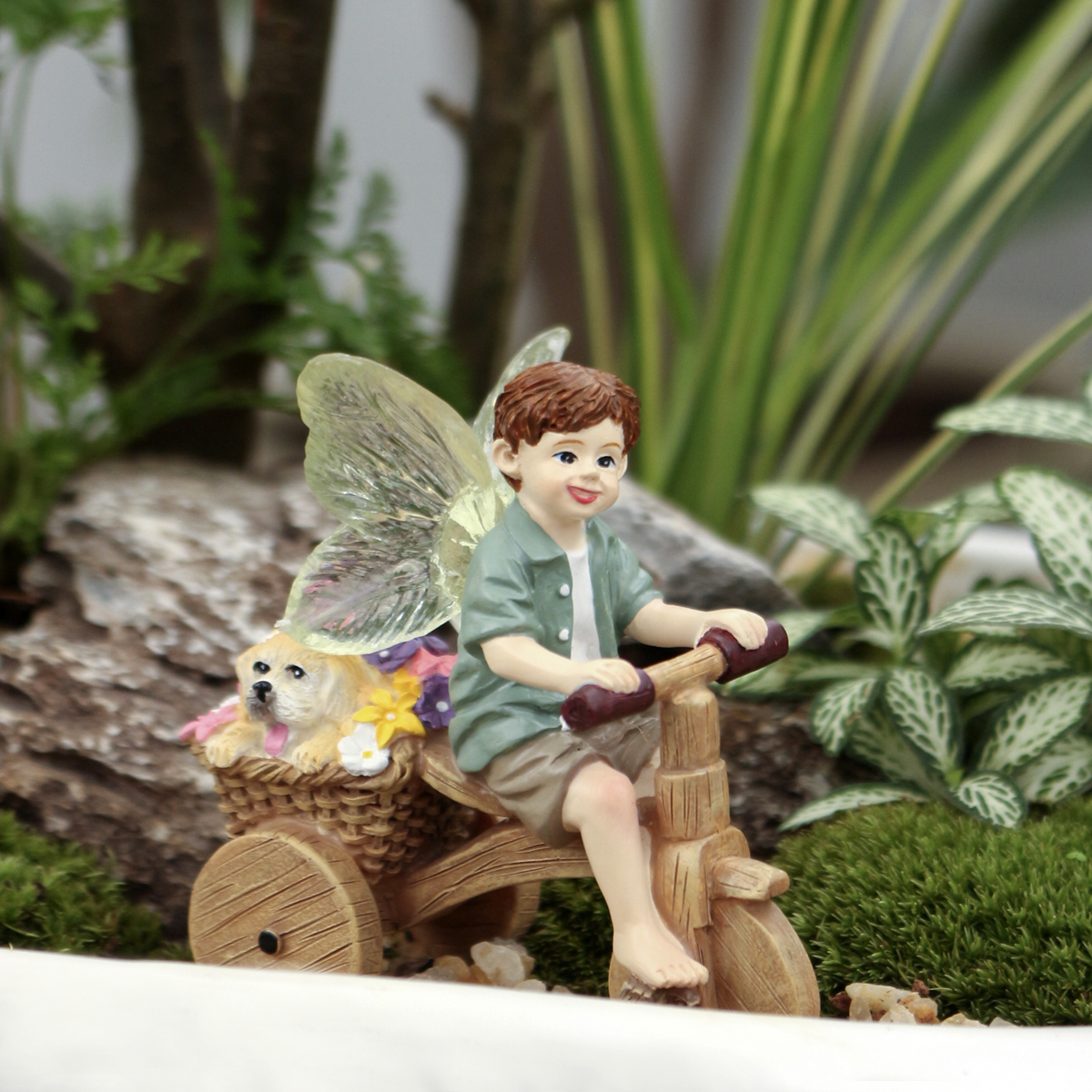 1 piece of transparent winged  - Bonsai Garden World ulasan dan harga