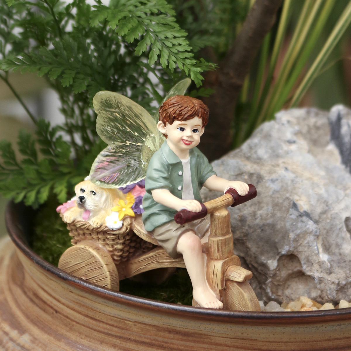 1 piece of transparent winged  - Bonsai Garden World ulasan dan harga