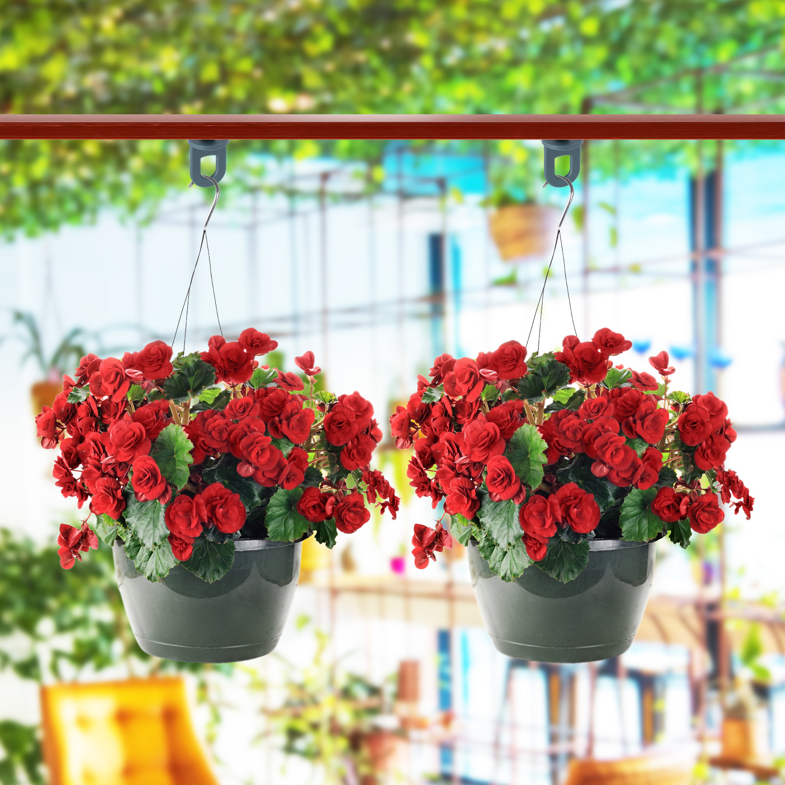 10pcs Flowerpot Hanging Hooks  - Bonsai Garden Shop ulasan dan harga