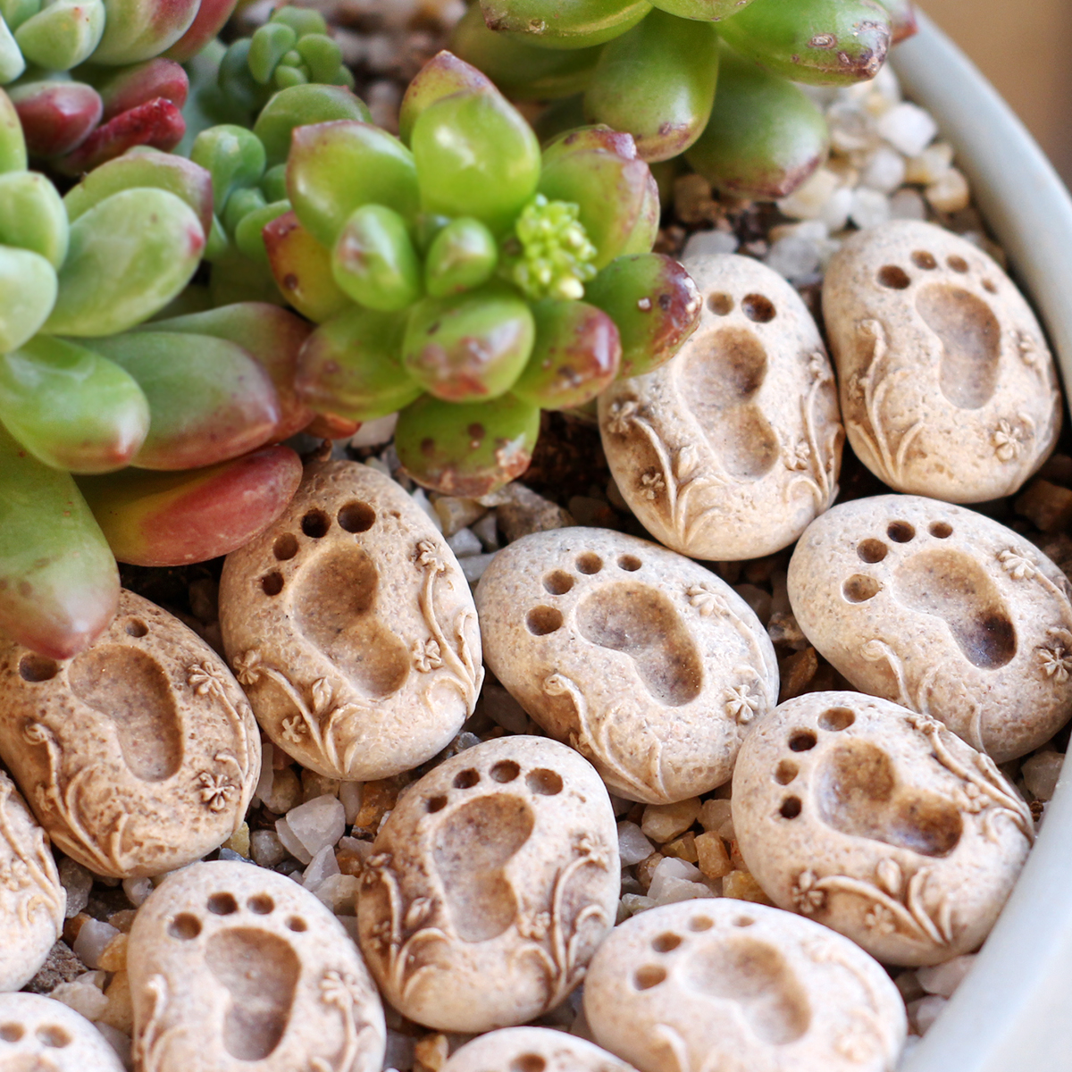 20 Pieces of Garden Footprint  - Bonsai Garden World ulasan dan harga