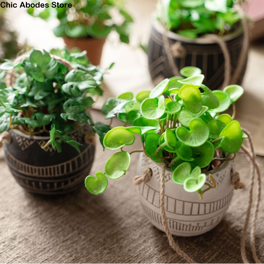 Green Garden Home Shop for Win - Bonsai Garden Shop ulasan dan harga