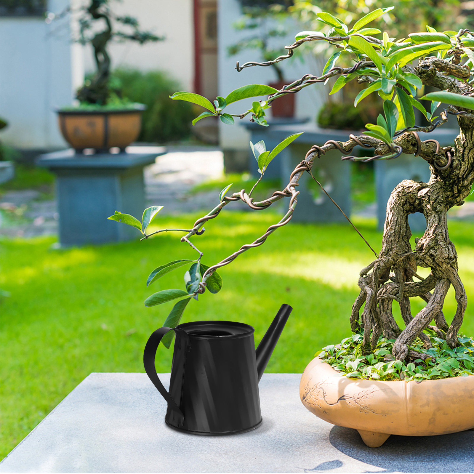 Mini Watering Can for Indoor P - Bonsai Garden Mini ulasan dan harga