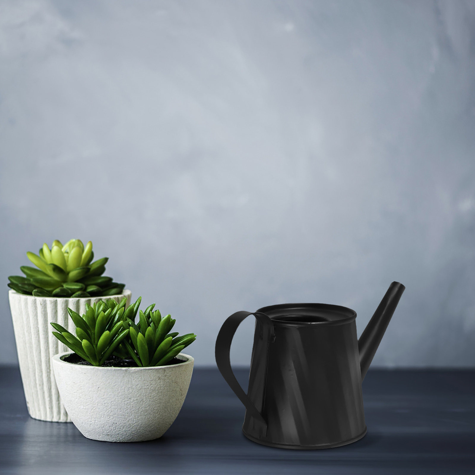 Mini Watering Can for Indoor P - Bonsai Garden Mini ulasan dan harga