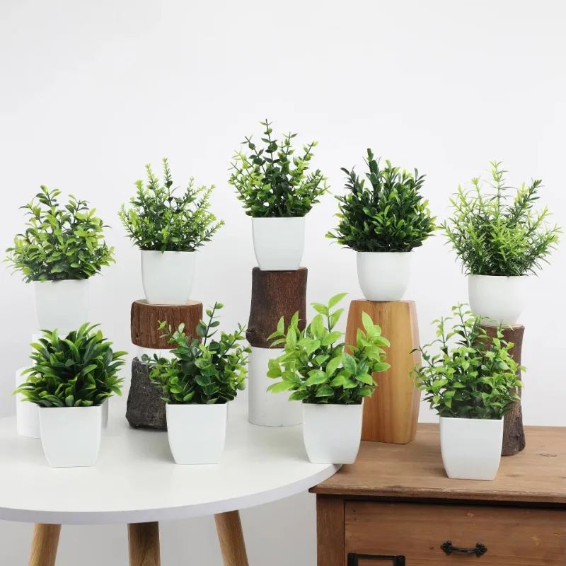 Wholesale OEM/ODM Artificial M - Bonsai Garden Mini ulasan dan harga