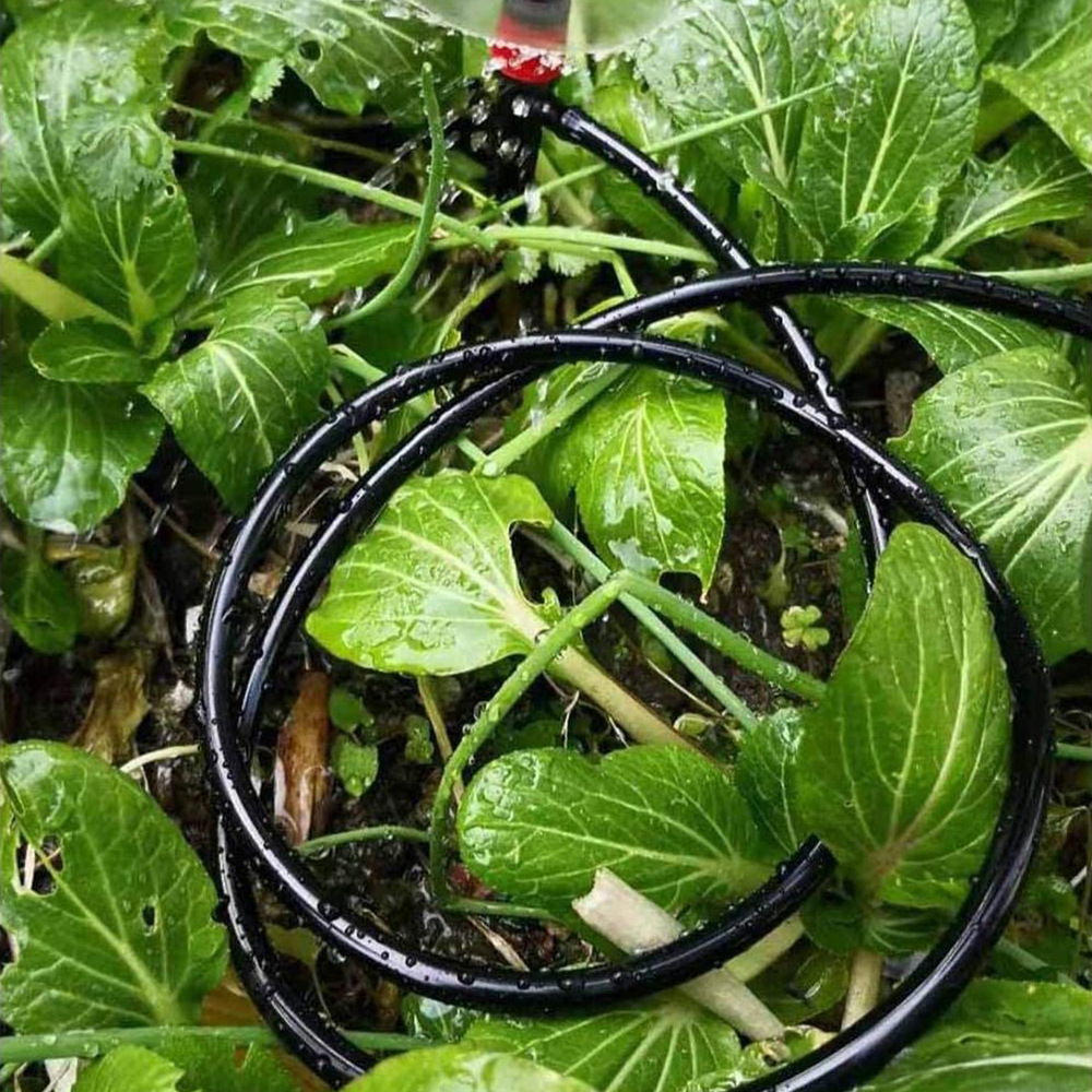 Garden Watering Hose Drip Irri - Bonsai Garden Youtube ulasan dan harga