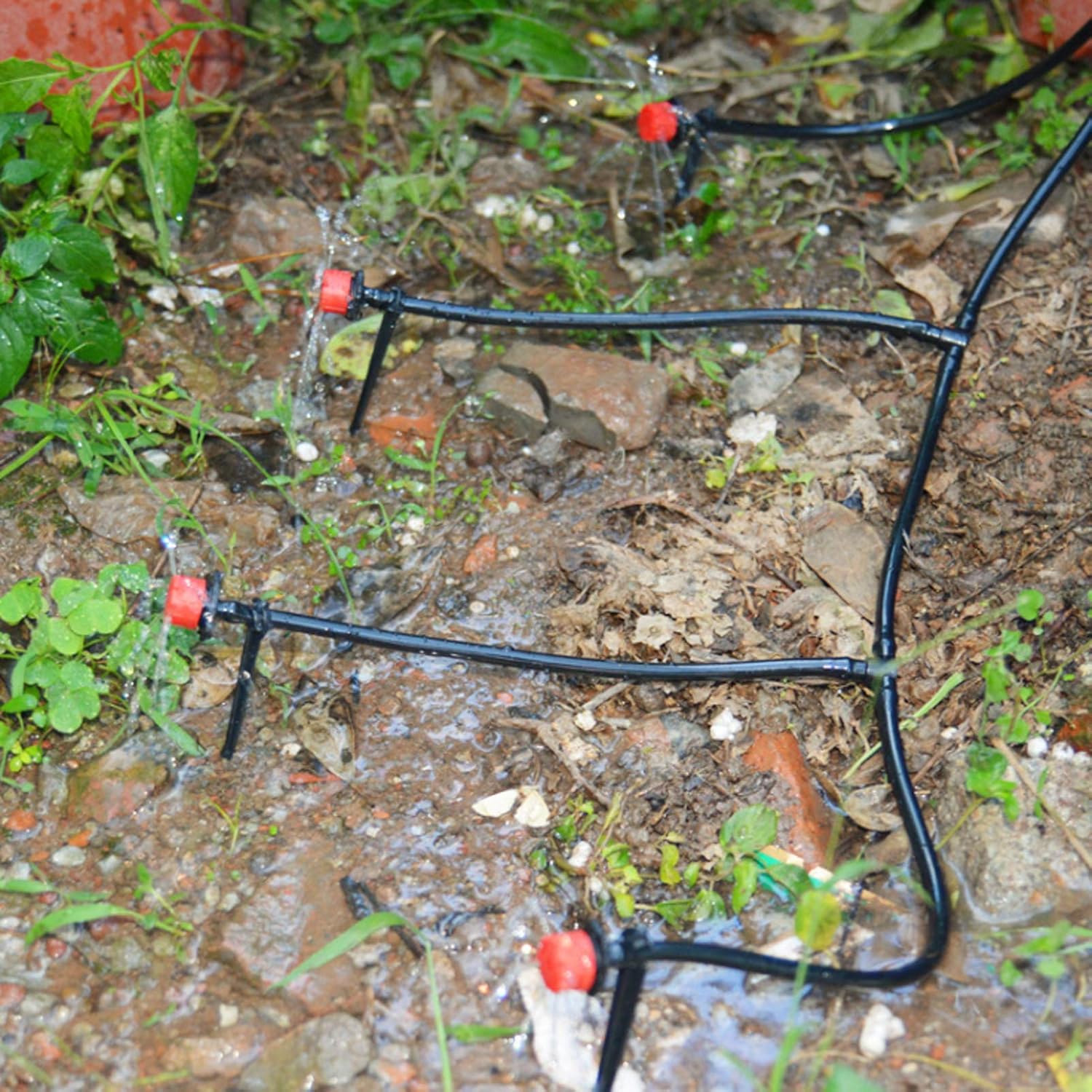 Garden Watering Hose Drip Irri - Bonsai Garden Youtube ulasan dan harga