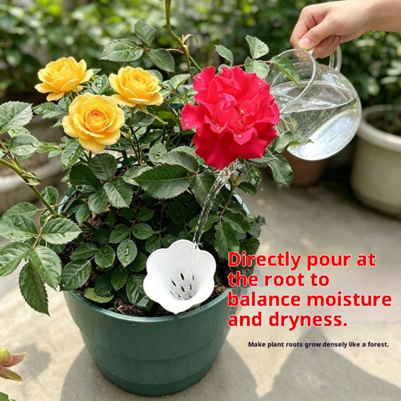 Plant Conical Root Protection  - Bonsai Garden Youtube ulasan dan harga
