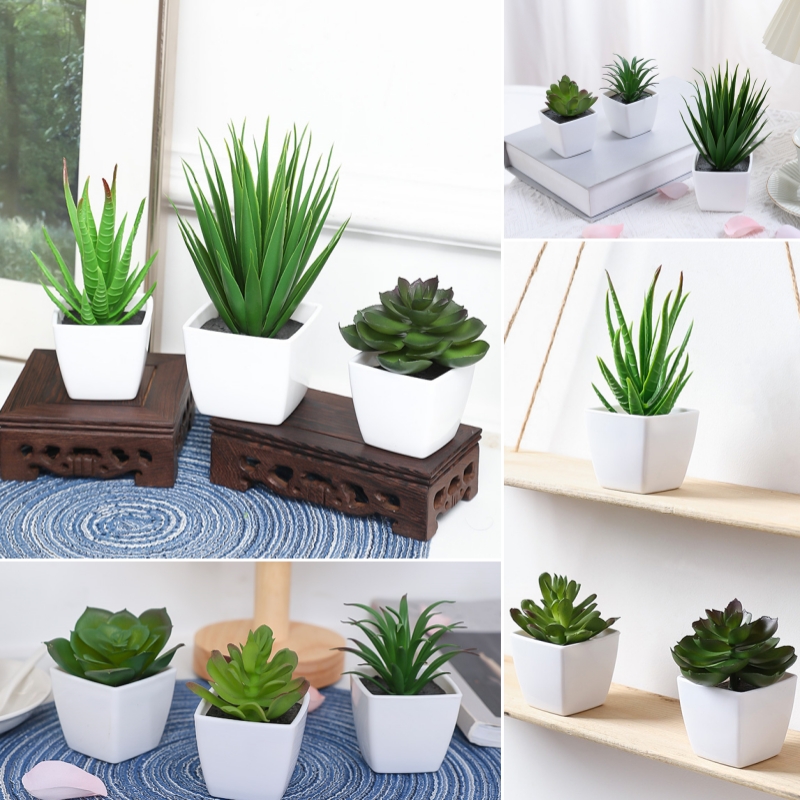 (A set of 3PCS) Simulated Mini - Bonsai Garden Mini ulasan dan harga