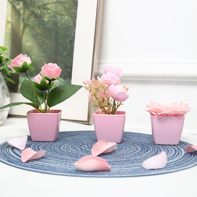 (A set of 3PCS) Simulated Mini - Bonsai Garden Mini ulasan dan harga
