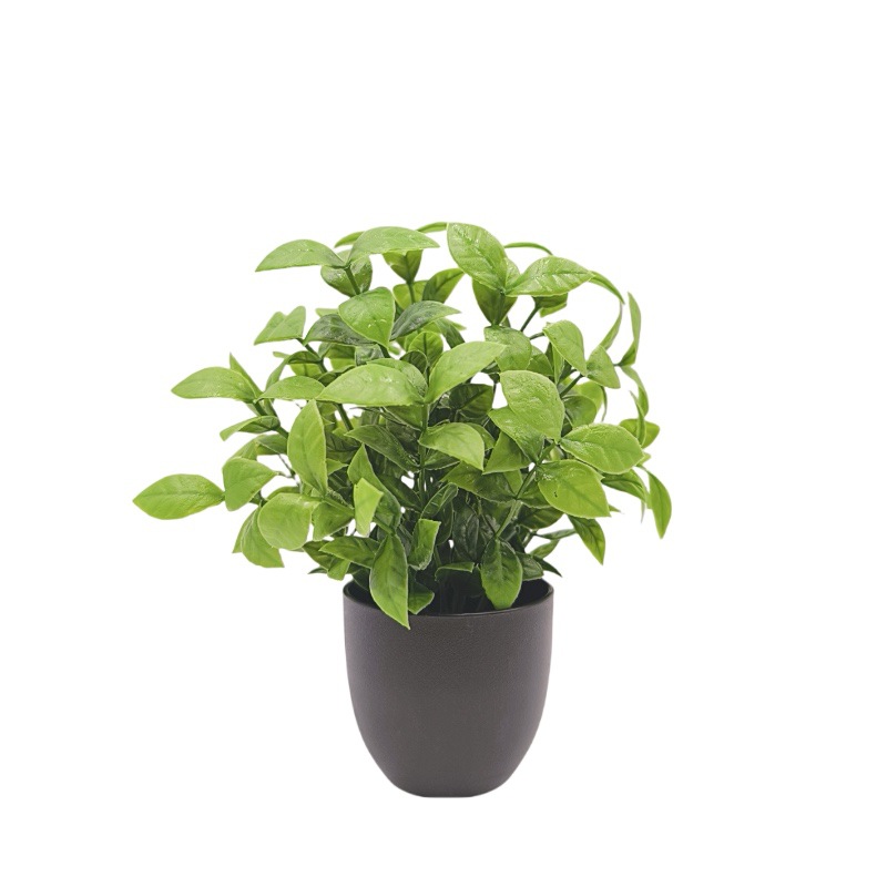 Simulation green plant bonsai  - Bonsai Garden Mini ulasan dan harga