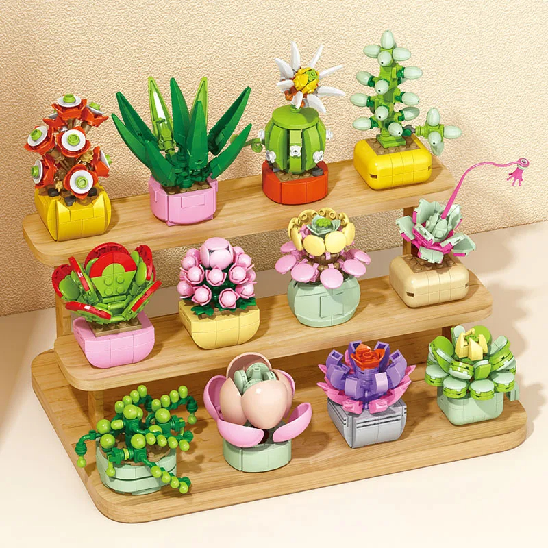 Flowers Succulents Building Bl - Bonsai Garden World ulasan dan harga
