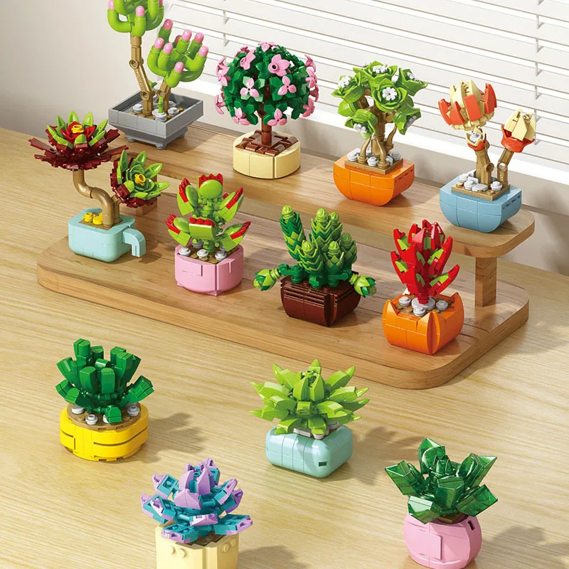 New Flowers Succulents Buildin - Bonsai Garden World ulasan dan harga