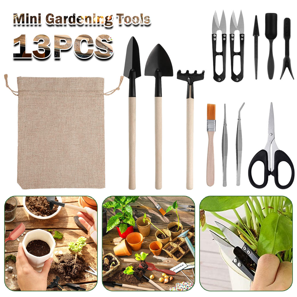 Succulent Plants Tools Mini Ga - Bonsai Garden Mini ulasan dan harga