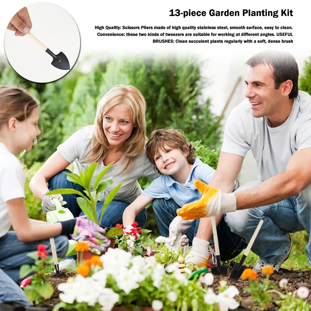 Succulent Plants Tools Mini Ga - Bonsai Garden Mini ulasan dan harga