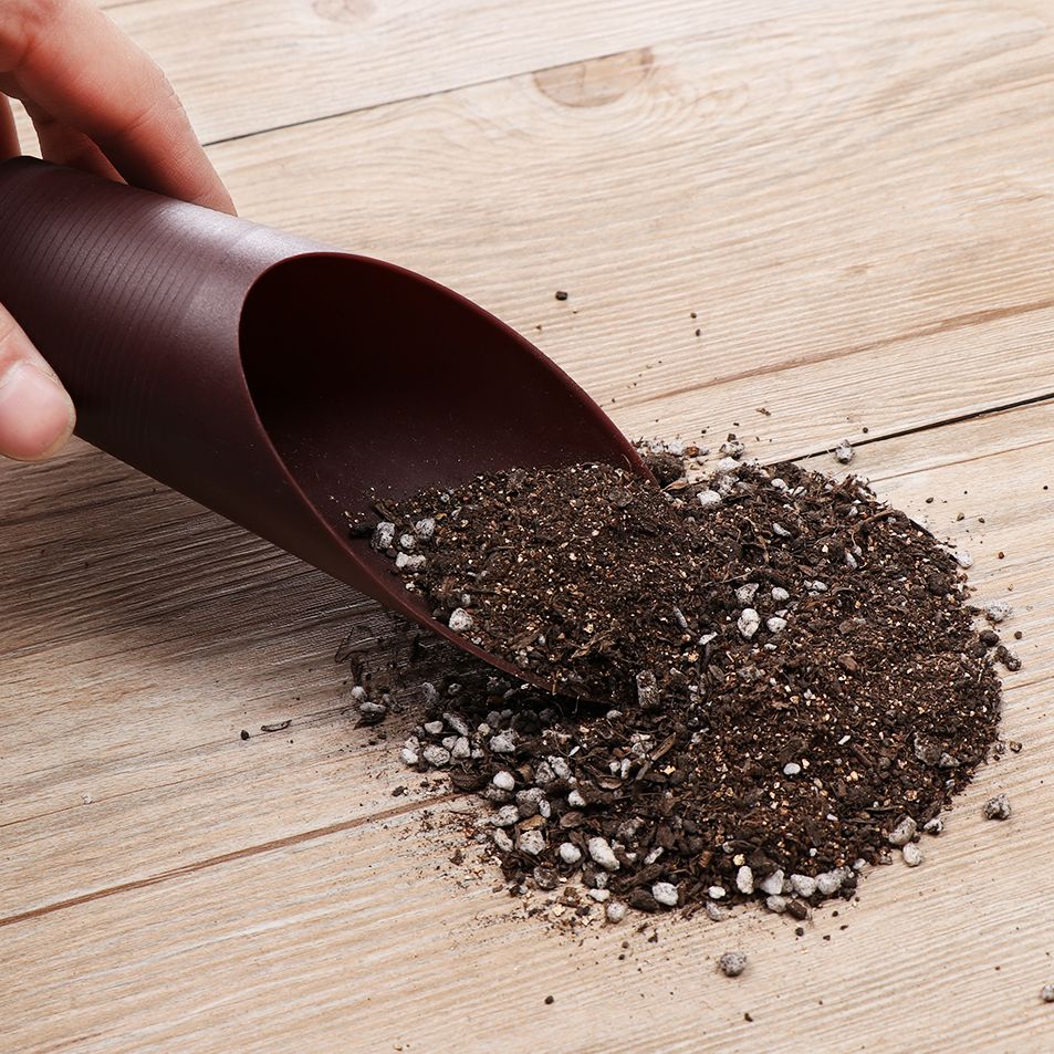 1PC Plastic Soil Shovel Cup Fo - Bonsai Garden Mini ulasan dan harga